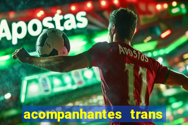 acompanhantes trans baixada fluminense